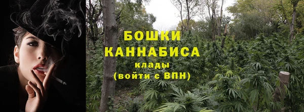 бошки Белокуриха