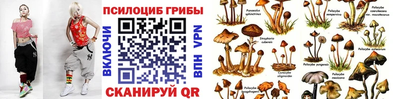 Псилоцибиновые грибы Cubensis  Кириллов 